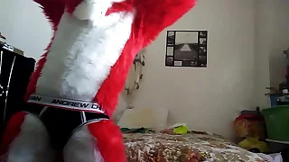 144 furry gay porn videos
